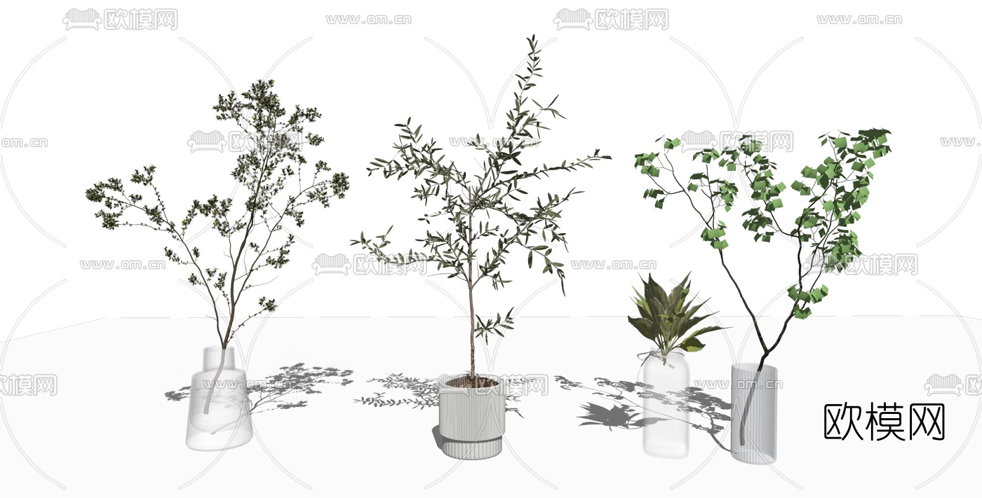 现代植物盆栽su模型