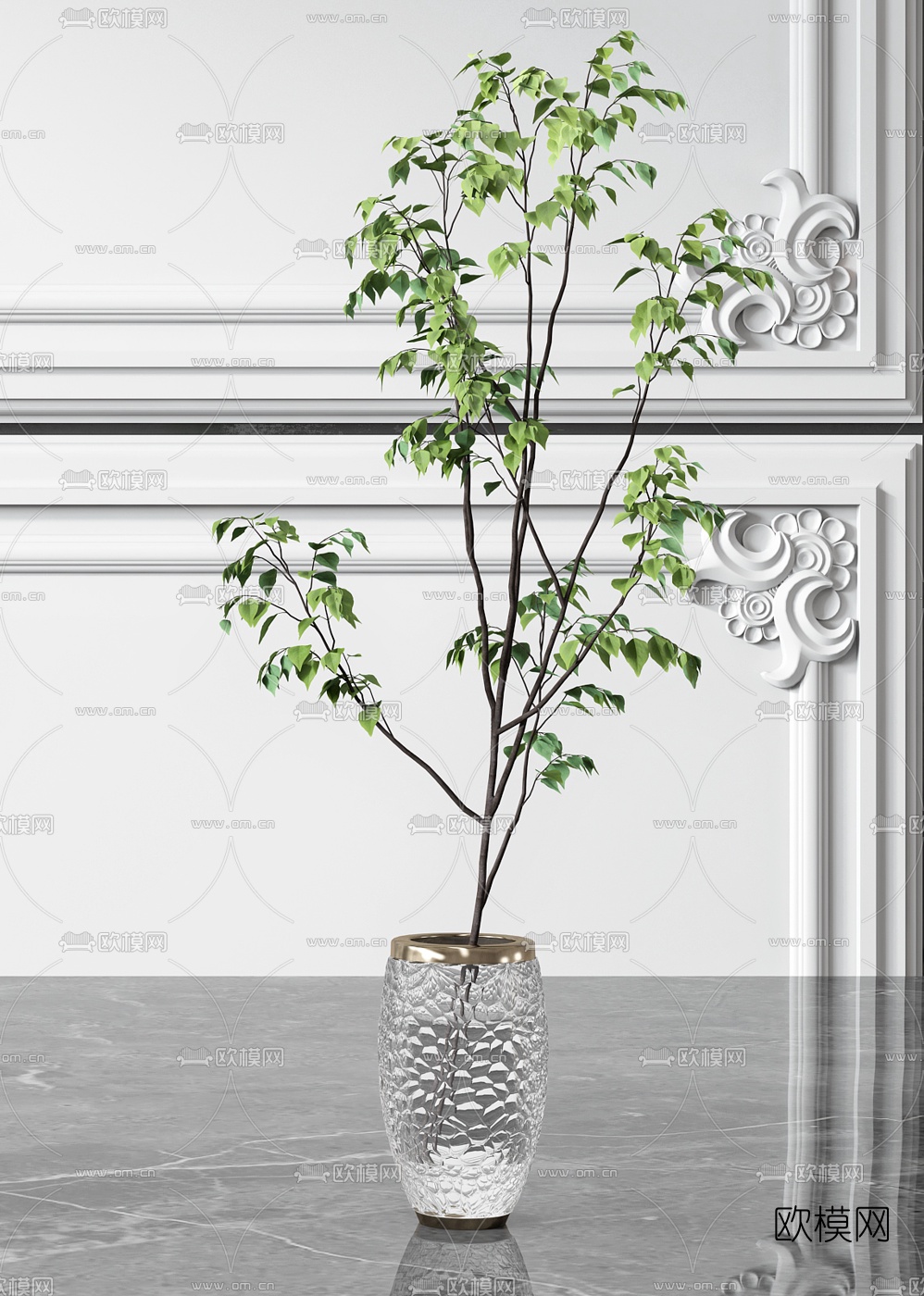 现代水生绿植花瓶3d模型下载（渲染图3）