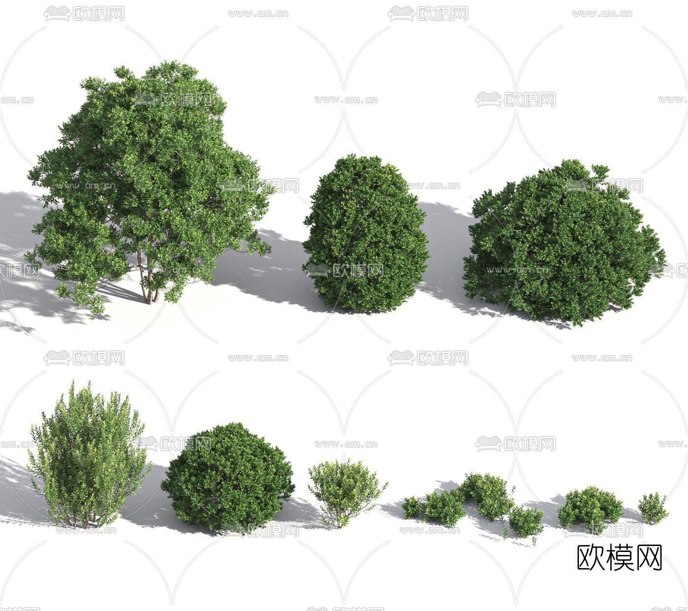 现代灌木绿篱3d模型
