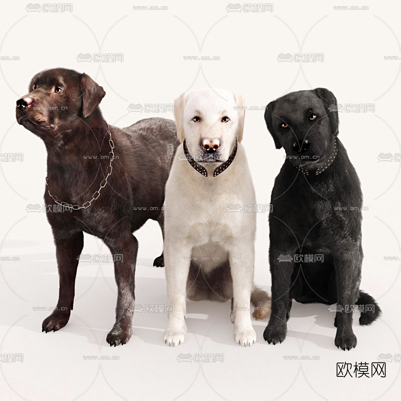 现代拉布拉多狗3d模型下载