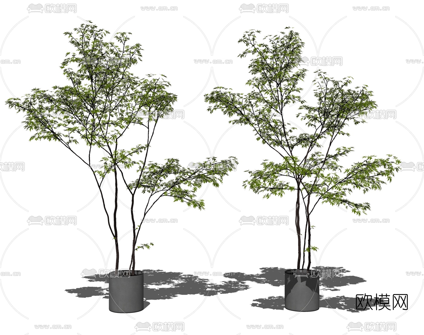 现代植物盆栽su模型