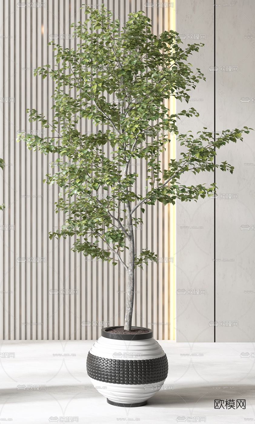 现代植物盆栽3d模型