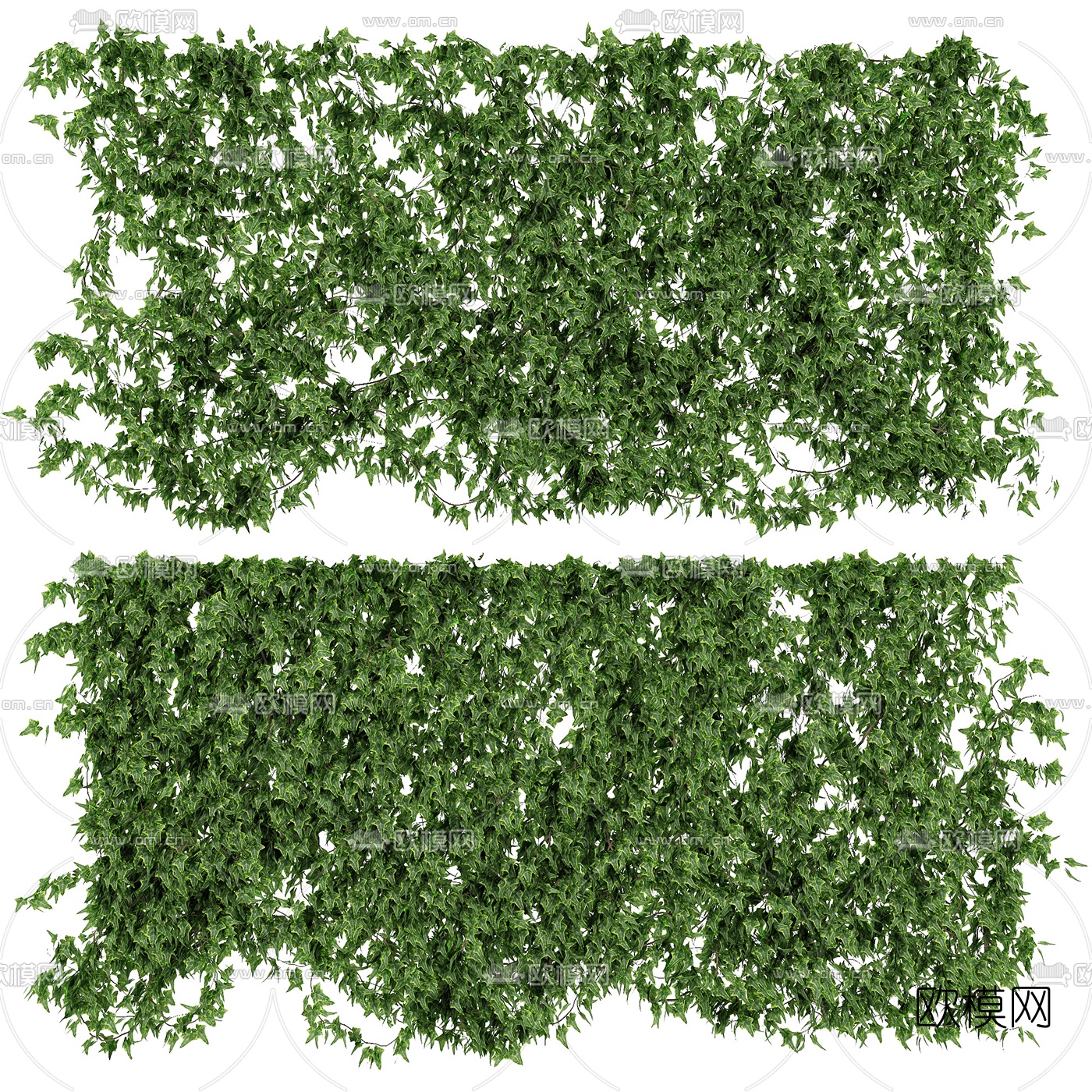 现代植物藤蔓3d模型下载