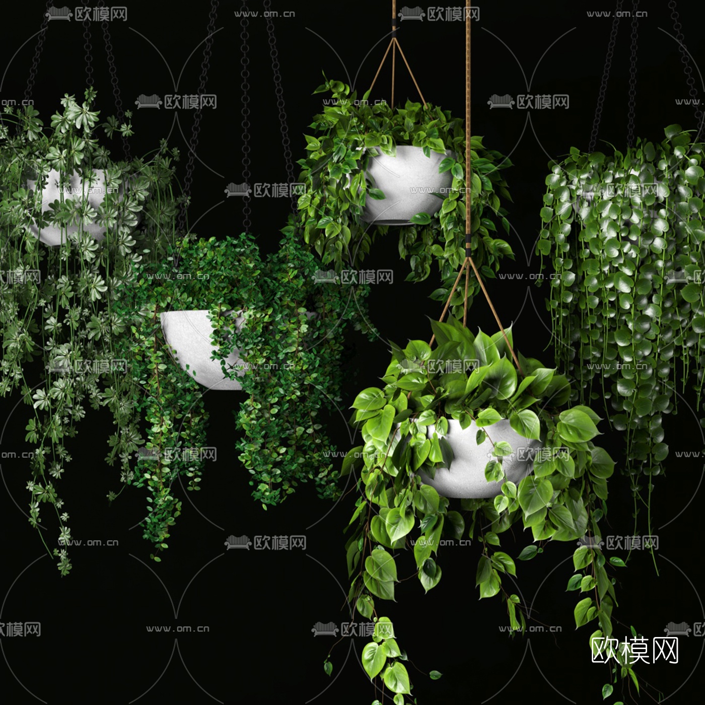 现代吊篮盆栽3d模型下载（渲染图3）