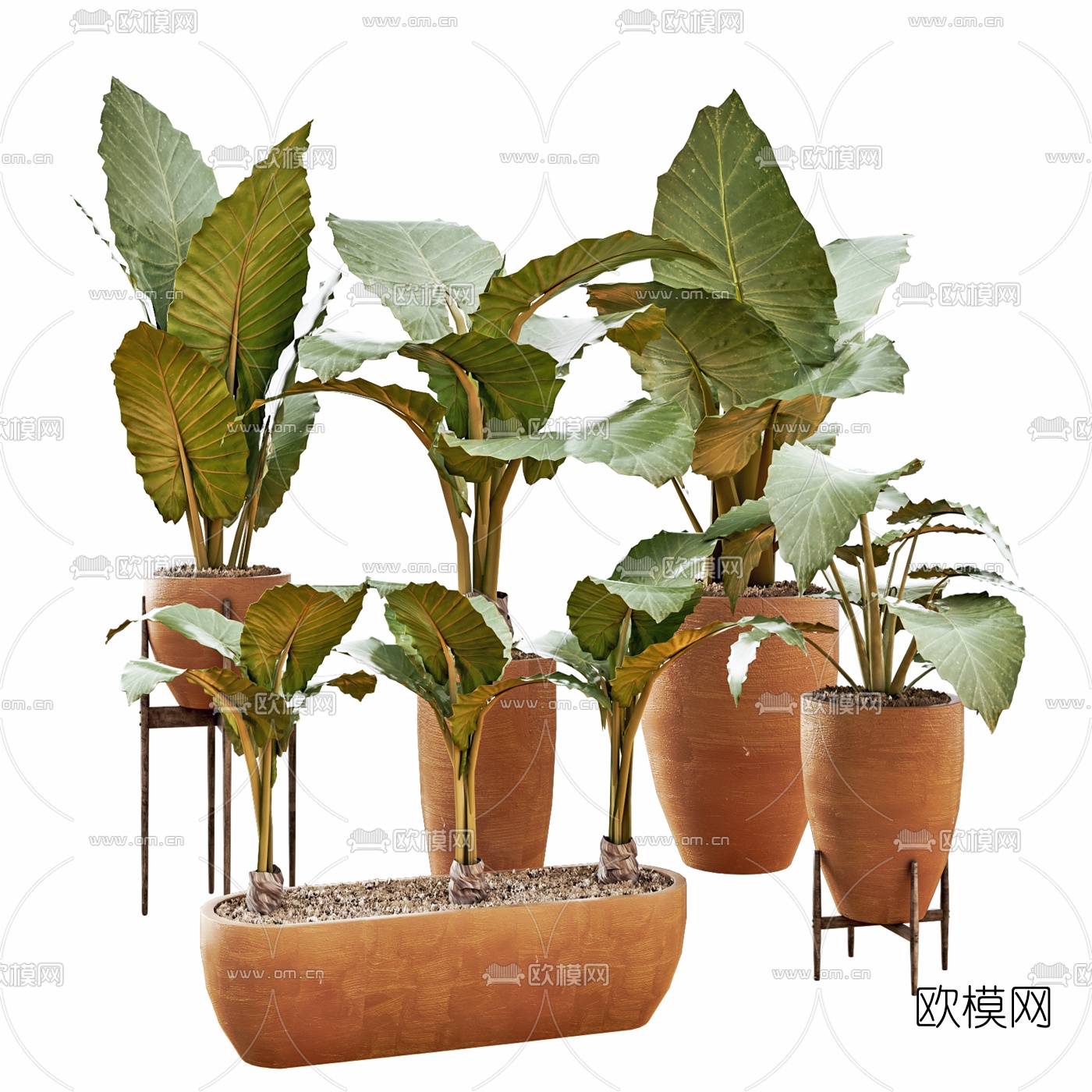 现代植物盆栽组合3d模型下载