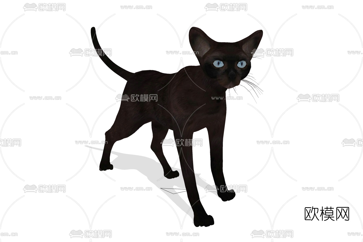 现代宠物猫免费su模型