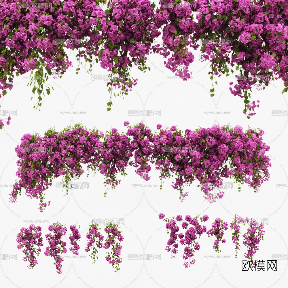 现代叶子花藤蔓3d模型