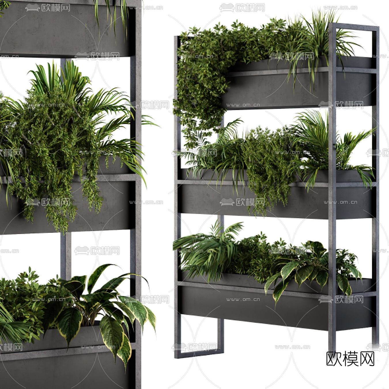 现代绿植盆栽3d模型下载（渲染图1）