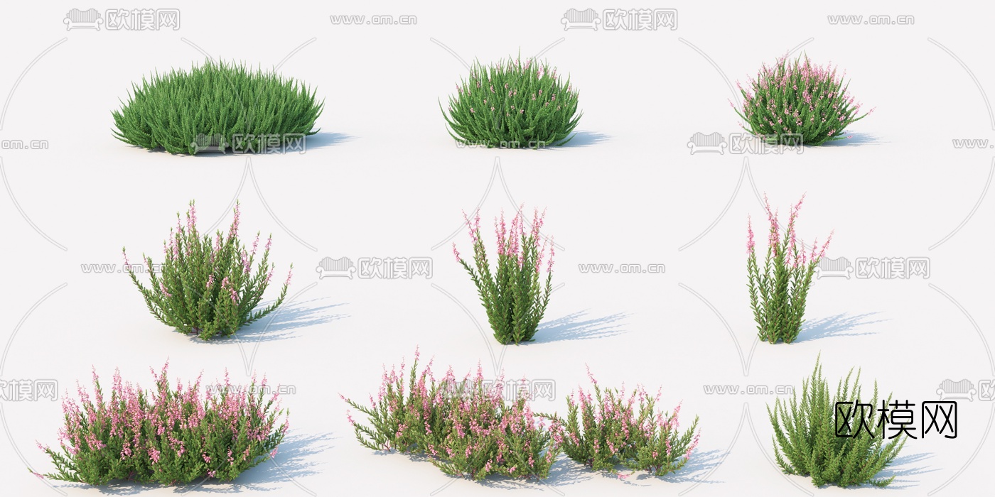 现代绿植灌木丛3d模型