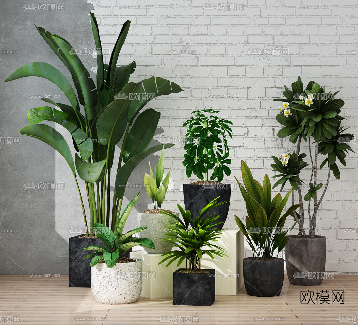 现代绿植盆栽3d模型