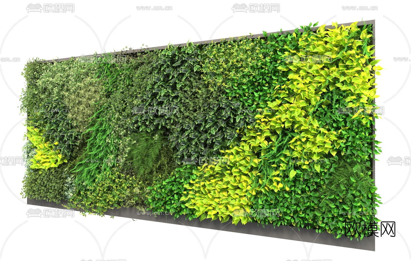 现代花草绿植墙3d模型