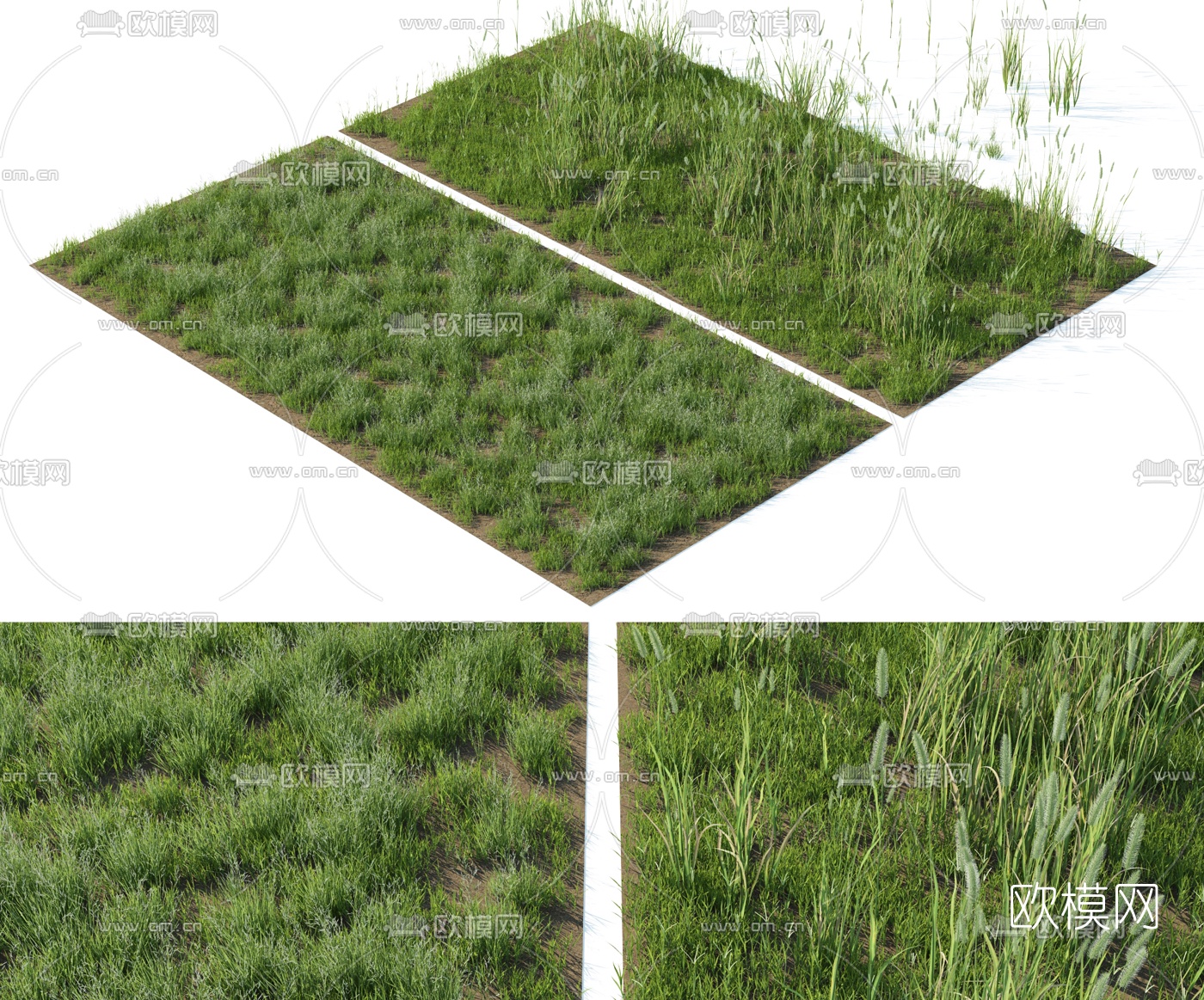 现代草地草坪3d模型下载（渲染图1）