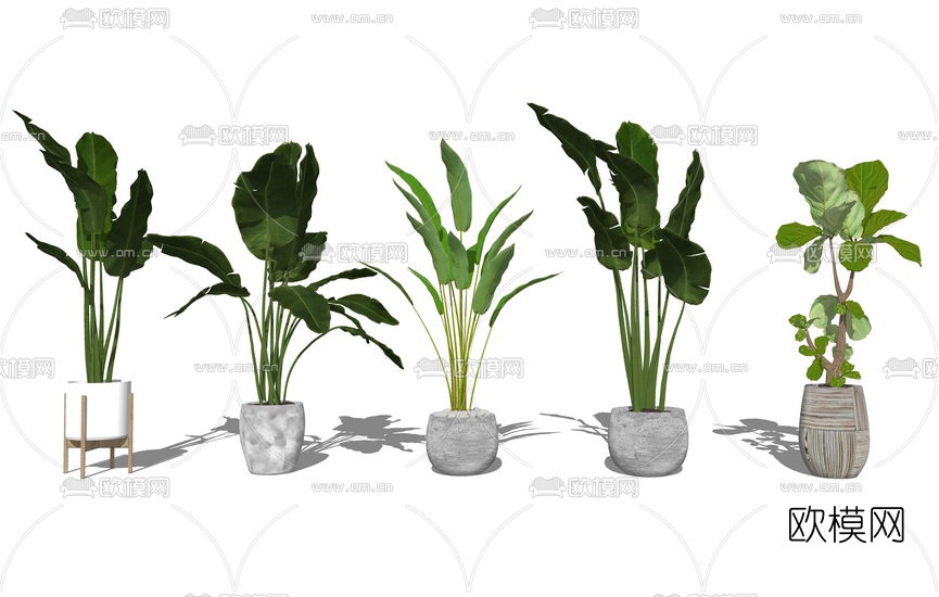 现代绿植盆栽su模型下载