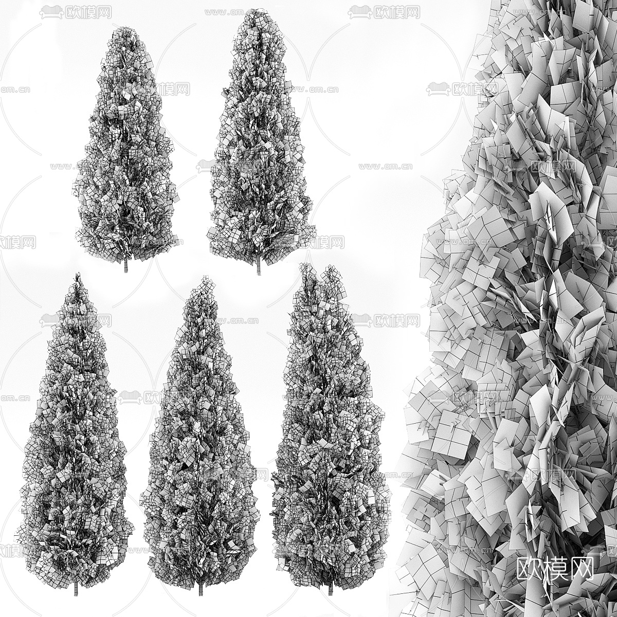 现代景观树柏树3d模型下载（渲染图3）