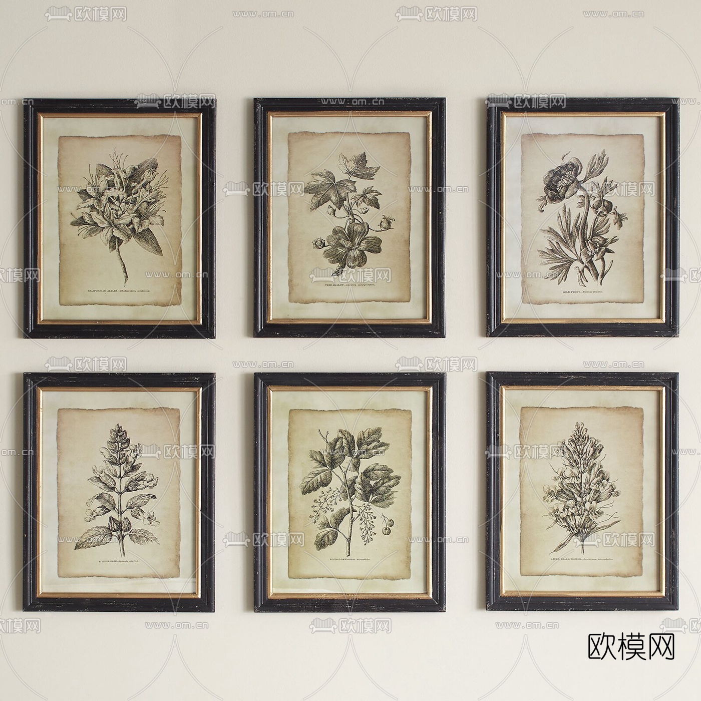 美式植物装饰画3d模型下载