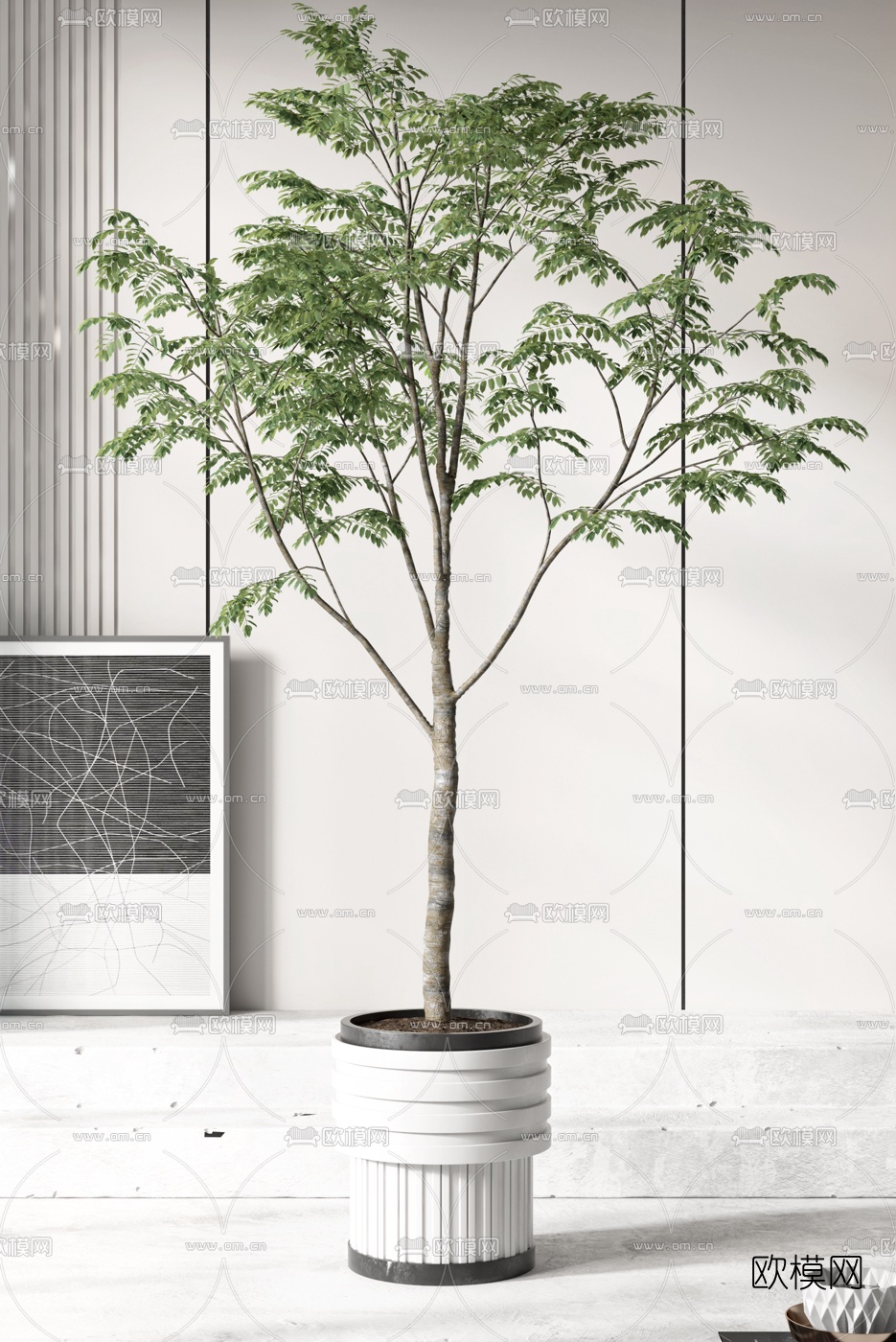 现代植物盆栽3d模型