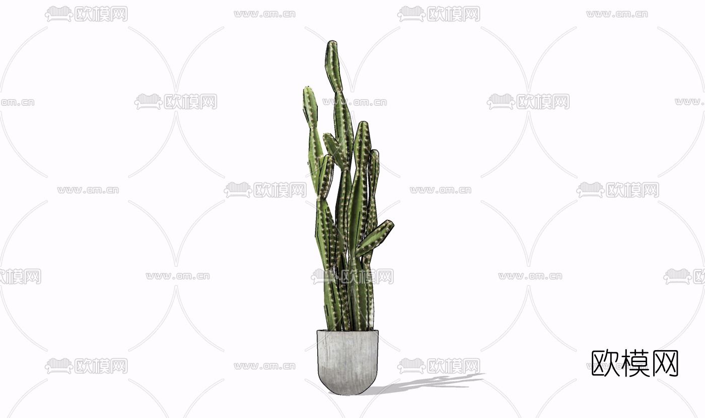 现代仙人掌盆栽免费su模型下载