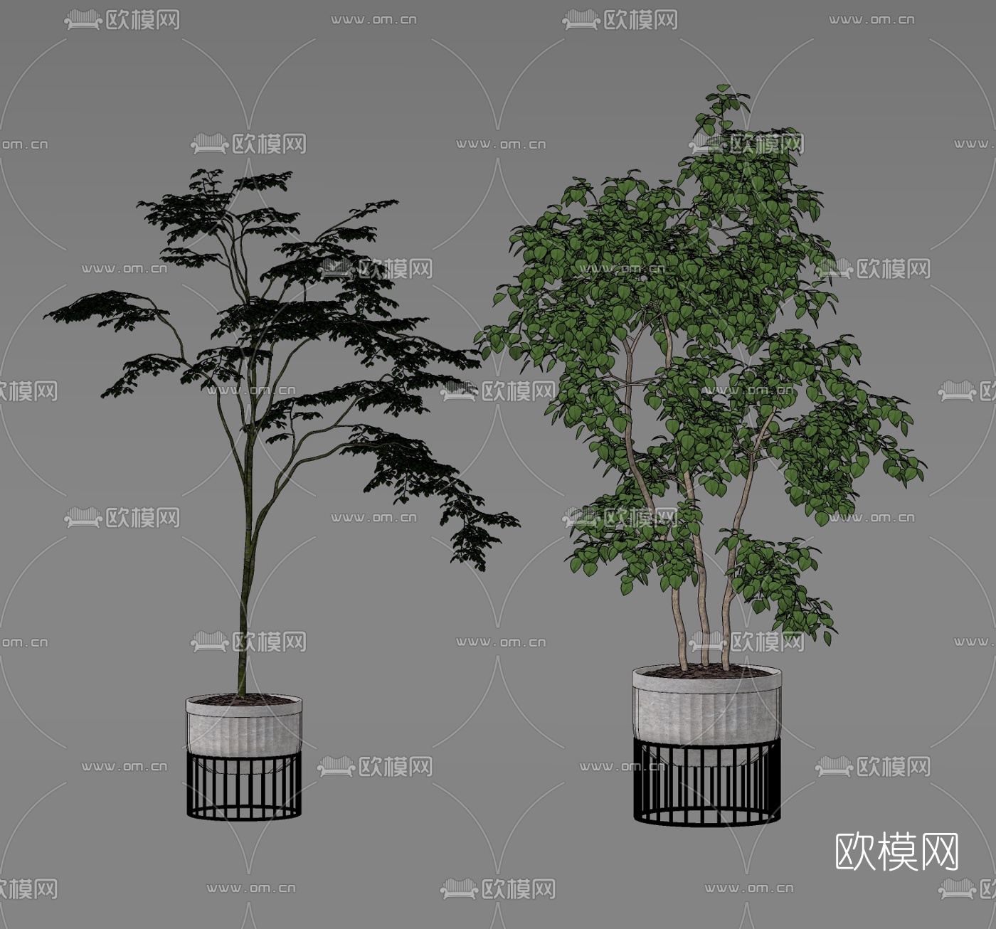 现代绿植盆栽su模型