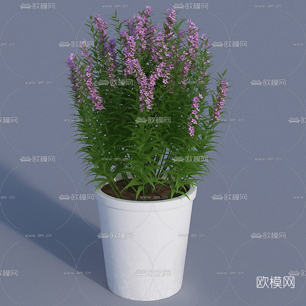 现代薰衣草盆栽免费3d模型
