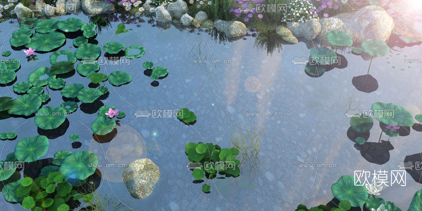 自然风荷花池景观3d模型