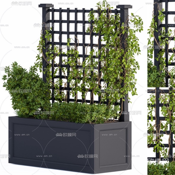 现代绿植盆栽藤蔓3d模型下载(渲染图1)