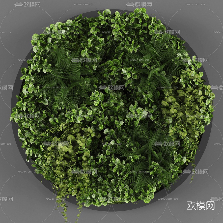 现代圆形花草植物墙3d模型