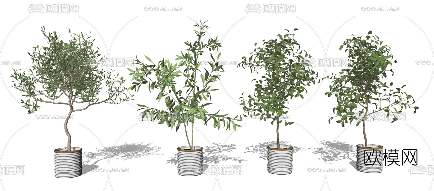 现代绿植盆栽su模型