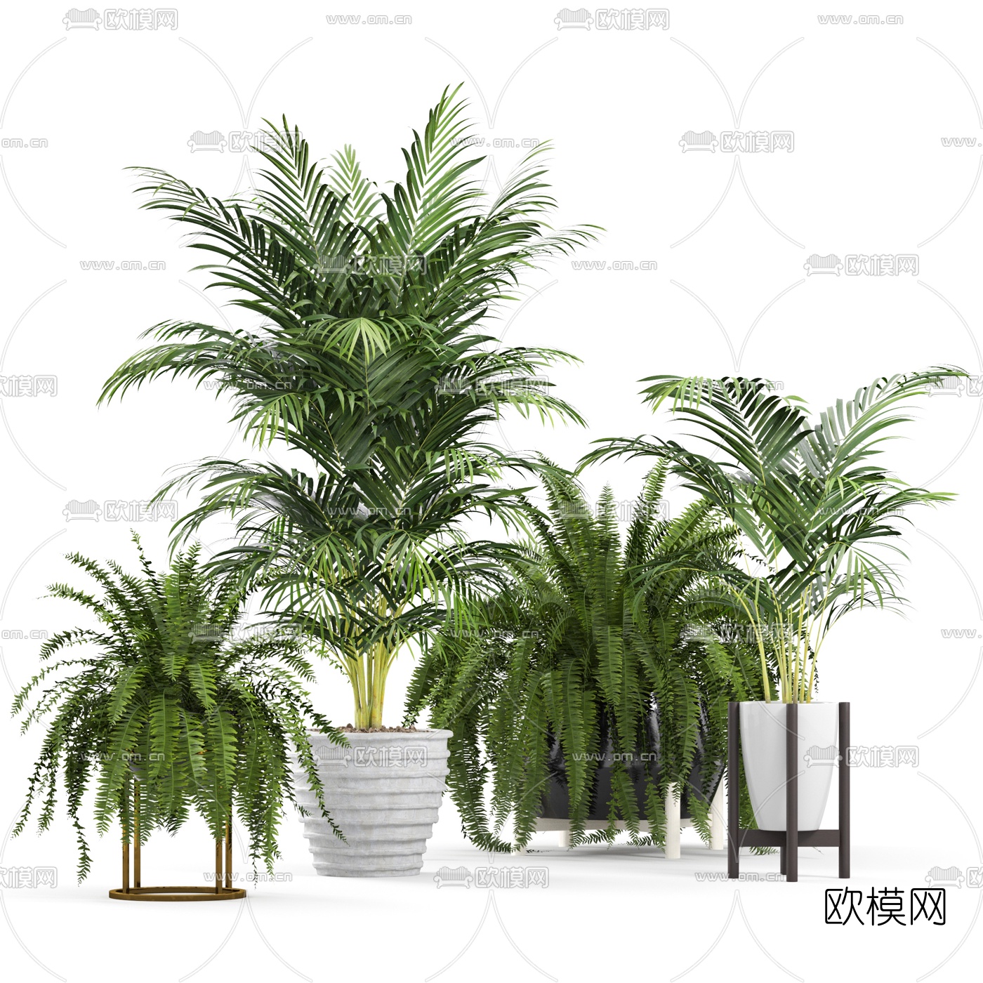 现代绿植盆栽3d模型下载