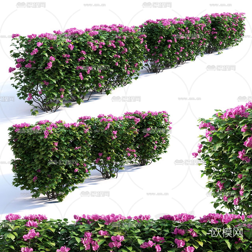 现代灌木绿篱3d模型