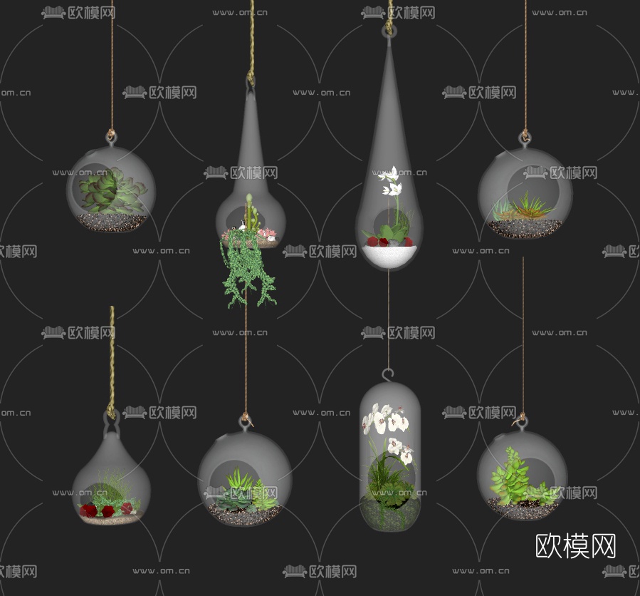 现代多肉悬挂盆栽su模型下载（渲染图1）