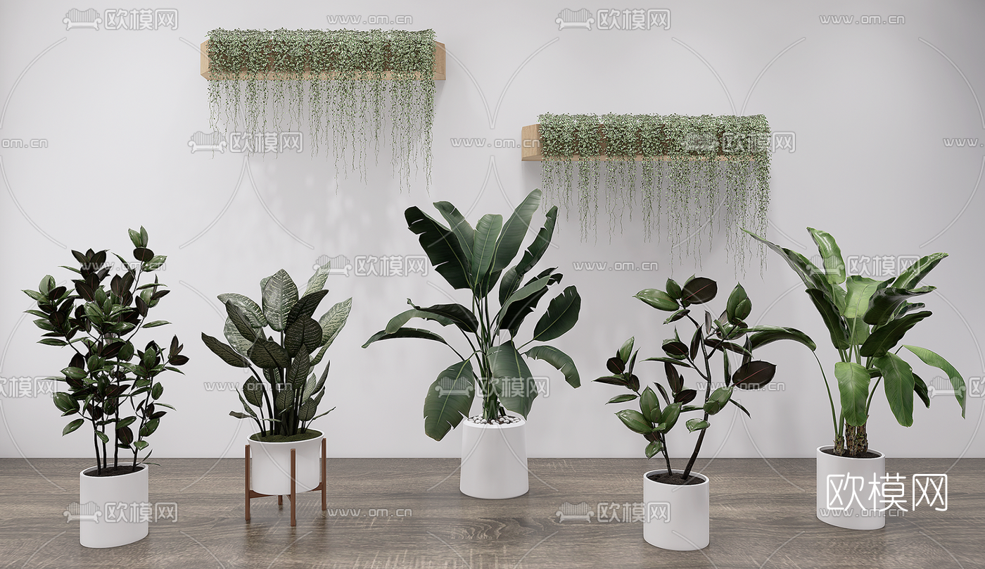 现代绿植盆栽su模型下载（渲染图1）