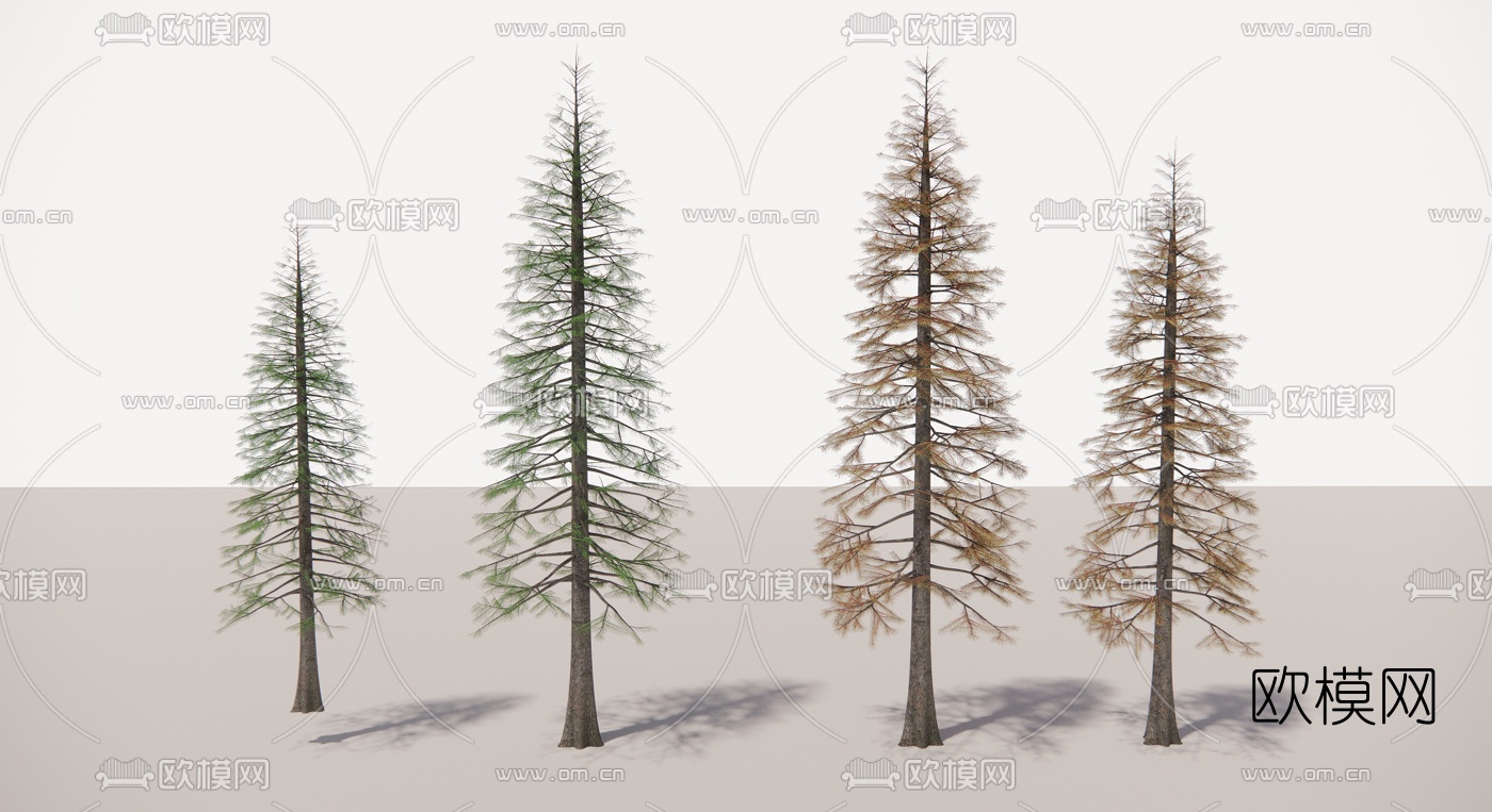 现代落叶杉su模型下载
