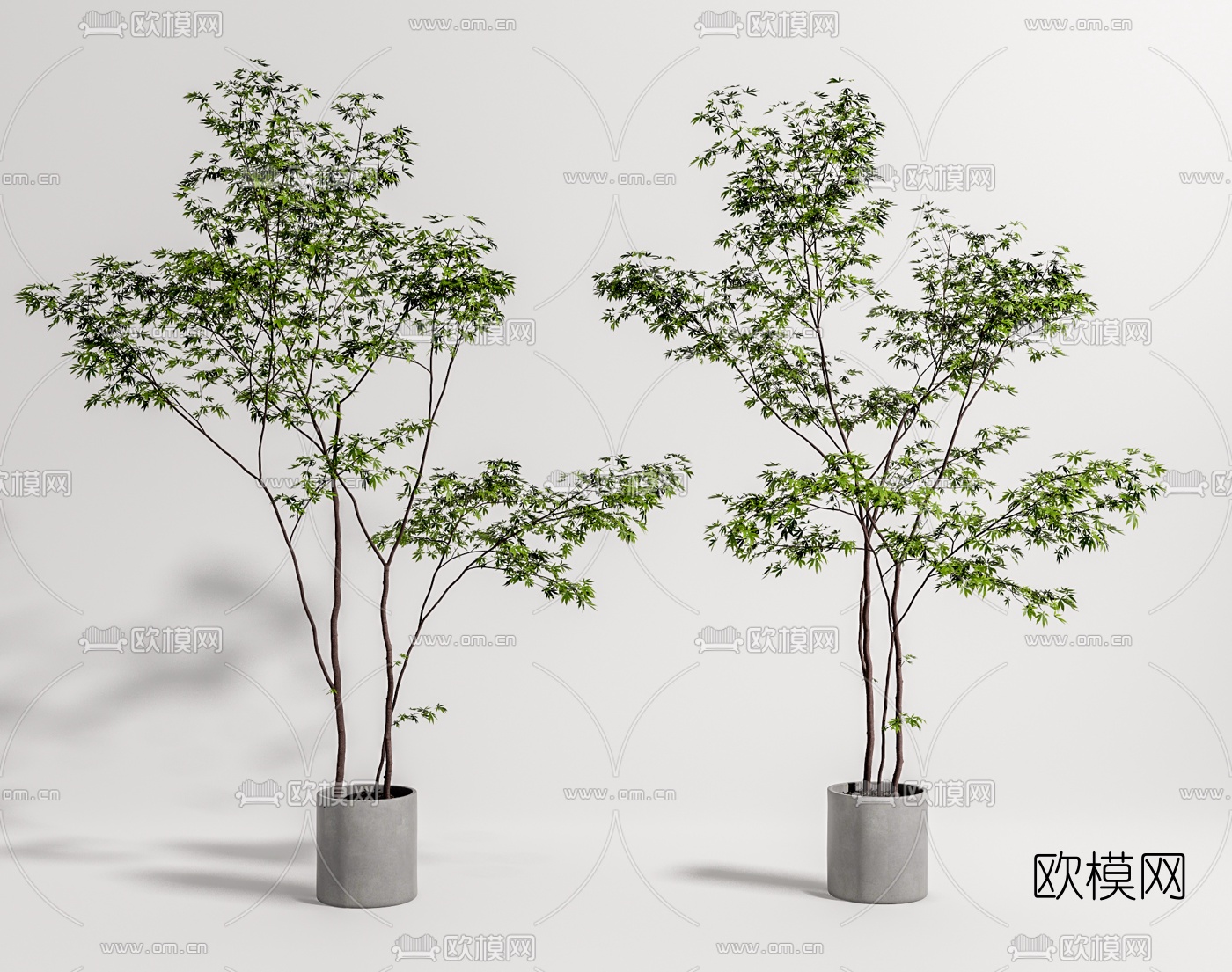 现代植物盆栽su模型