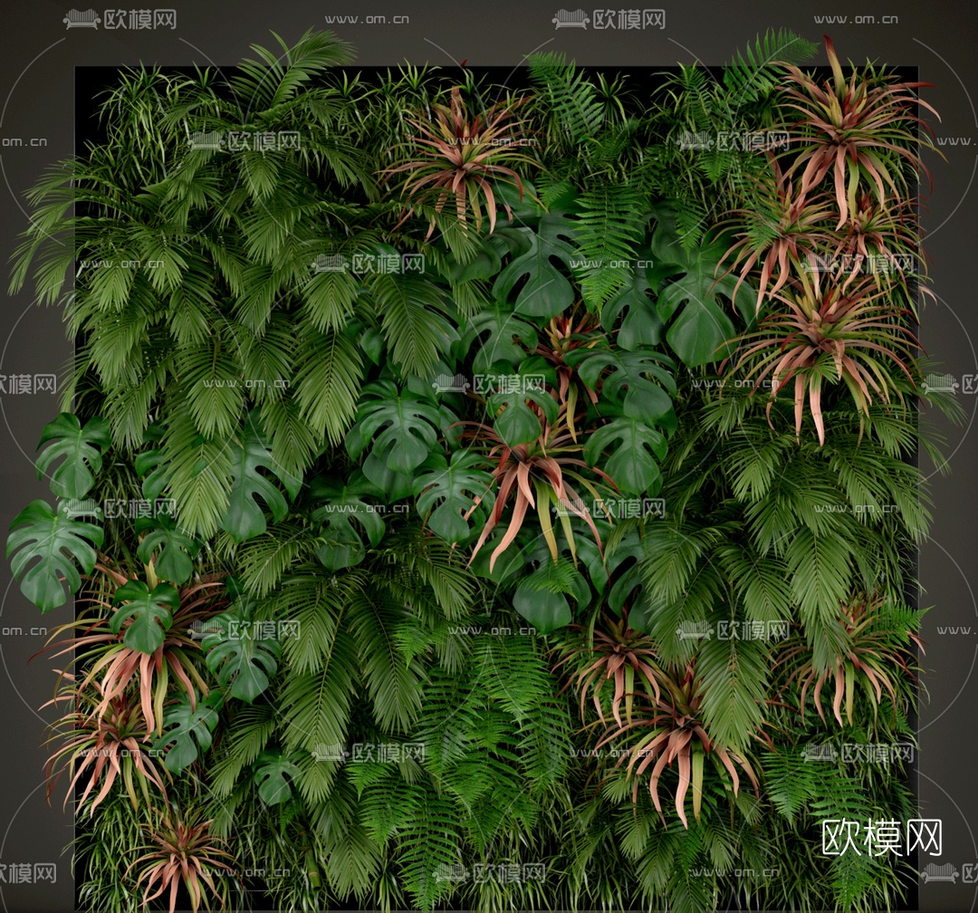现代花草植物墙3d模型