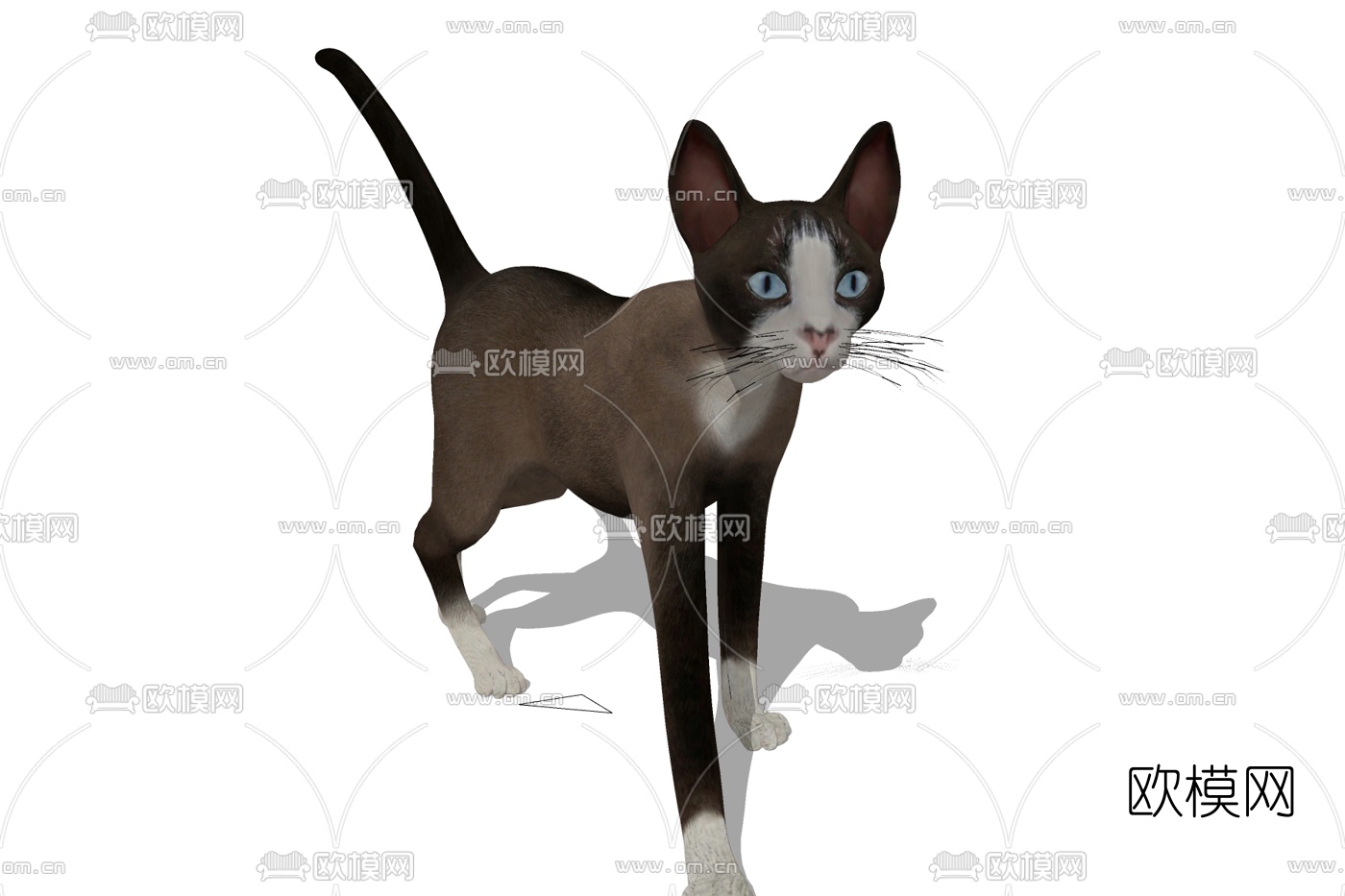 现代宠物猫免费su模型下载