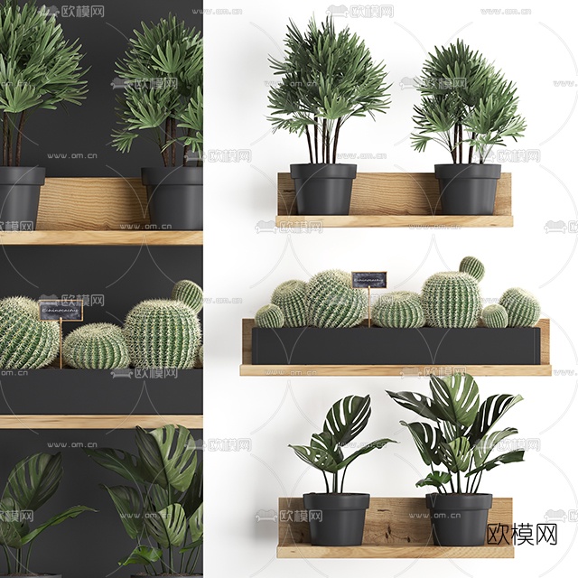 现代绿植盆栽3d模型