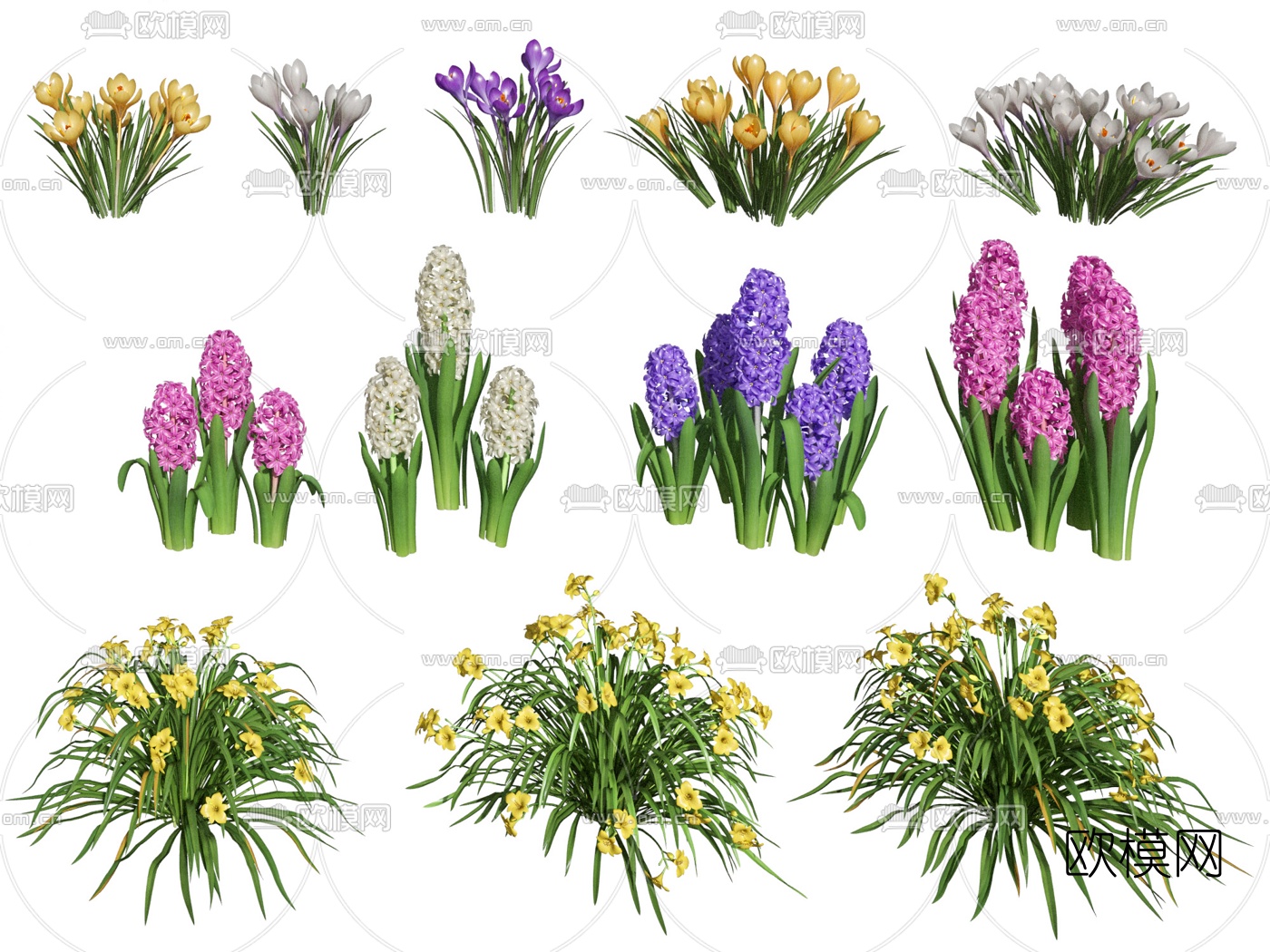 现代花草3d模型下载（渲染图2）