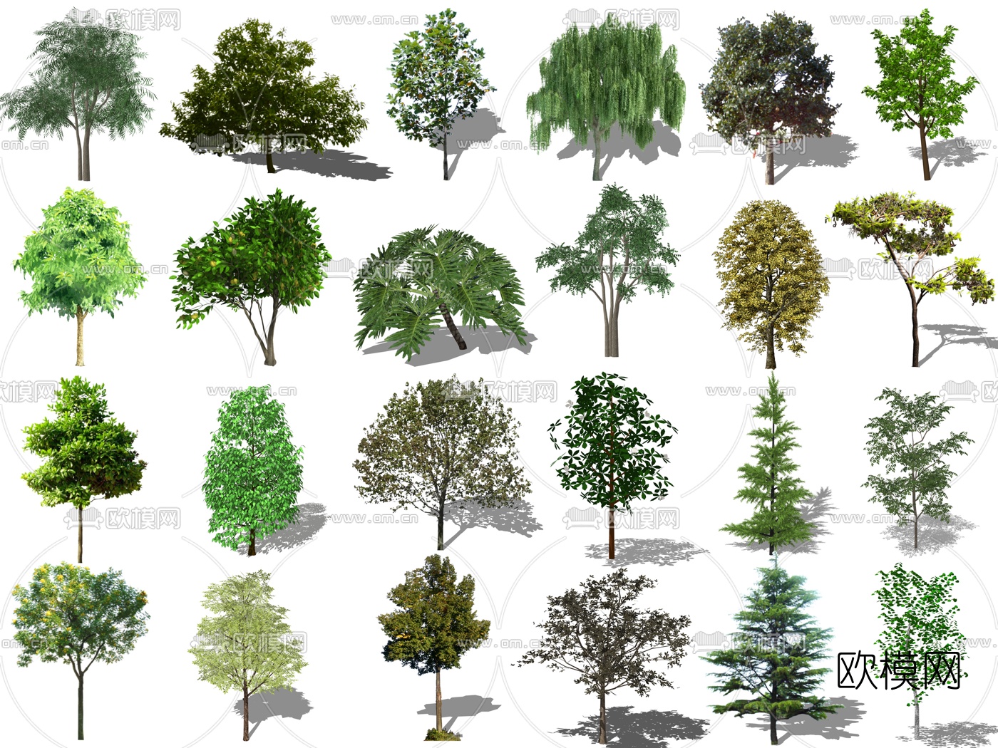 现代景观树su模型下载（渲染图2）