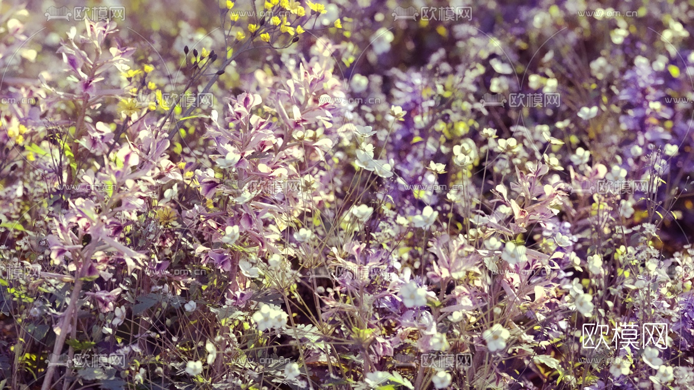 现代户外花草3d模型下载