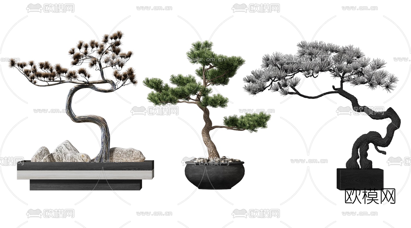 中式松树盆景su模型下载（渲染图1）