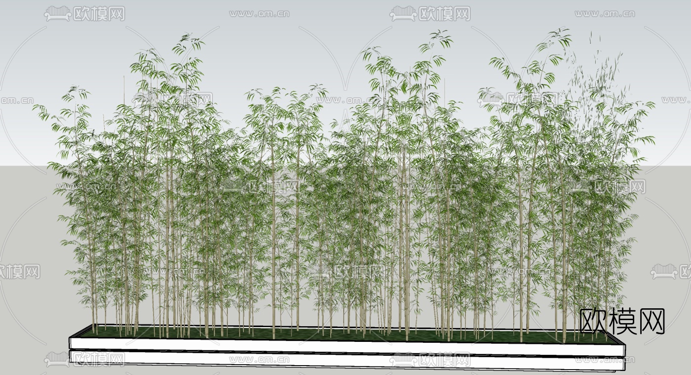 现代竹子su模型下载（渲染图1）