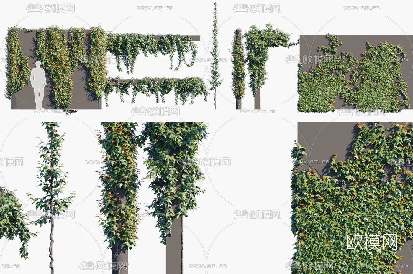 现代藤蔓爬墙虎3d模型下载（渲染图1）