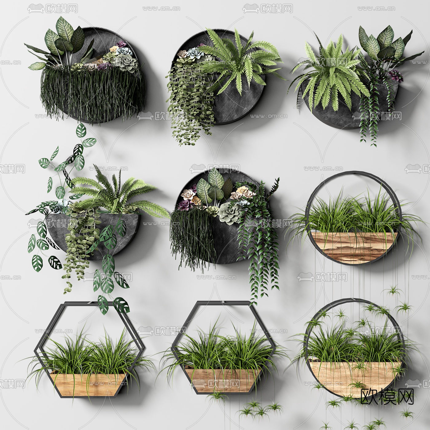 现代壁挂植物盆栽3d模型-免费3dmax模型库-欧模网