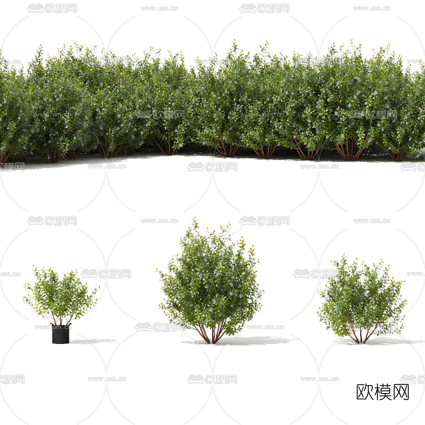 现代绿植灌木3d模型