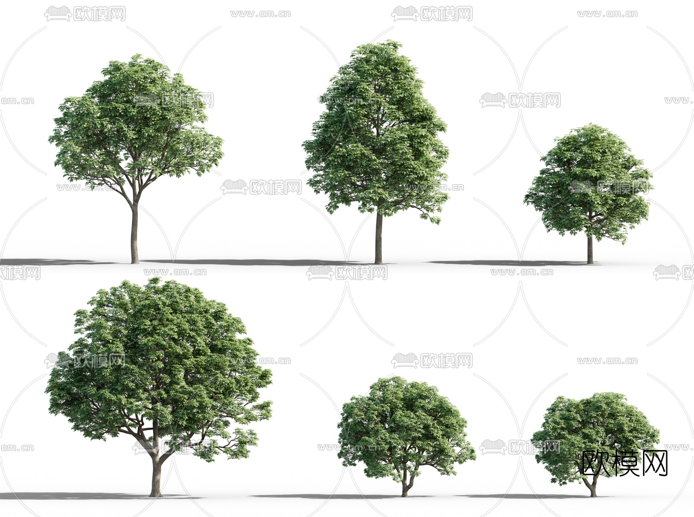 现代景观树3d模型下载