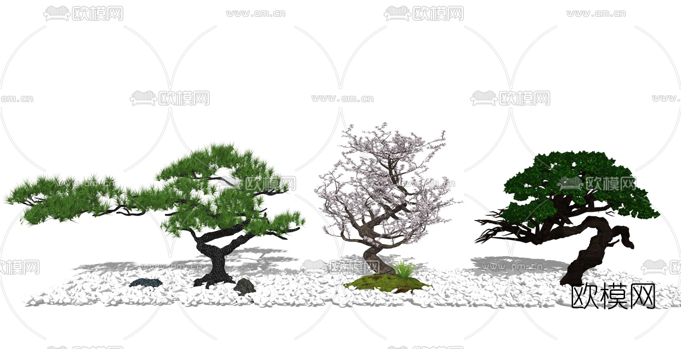 新中式松树景观树su模型下载