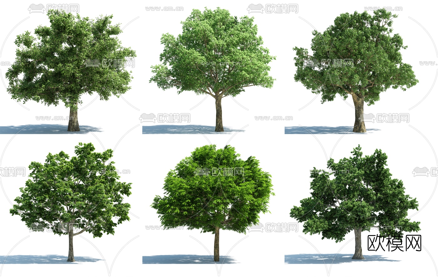 现代园林景观树3d模型
