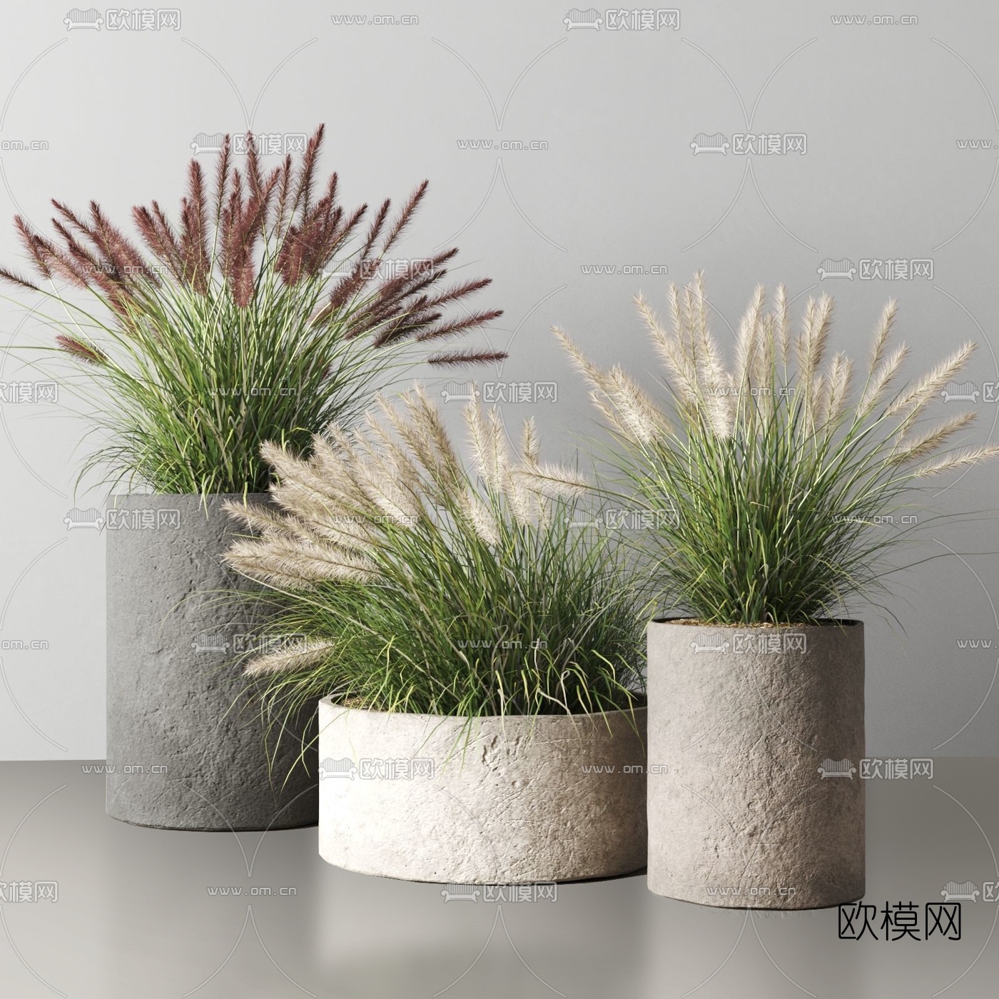 现代狼尾草盆栽3d模型