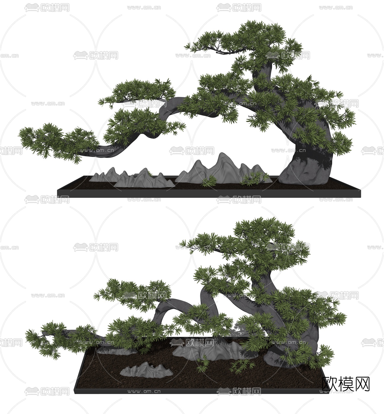 新中式罗汉松盆栽su模型下载