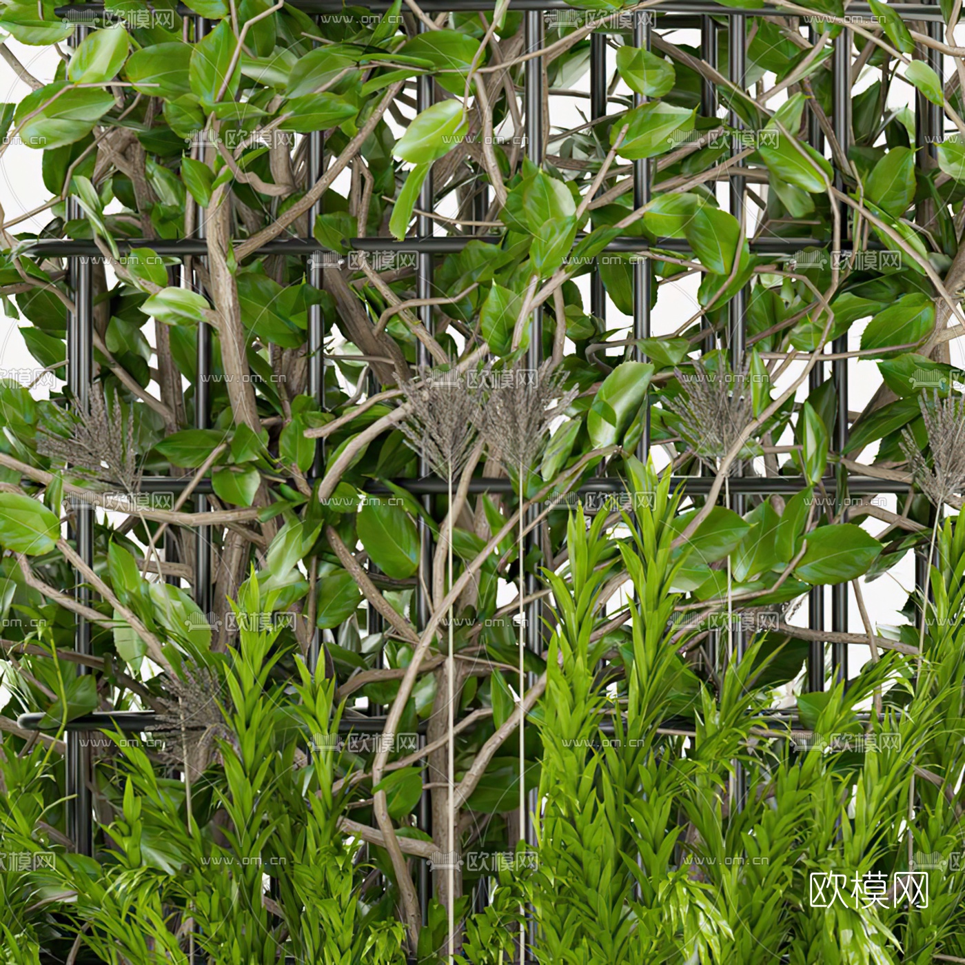 现代植物盆栽滕蔓3d模型下载（渲染图3）